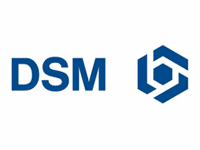 DSM aandelen